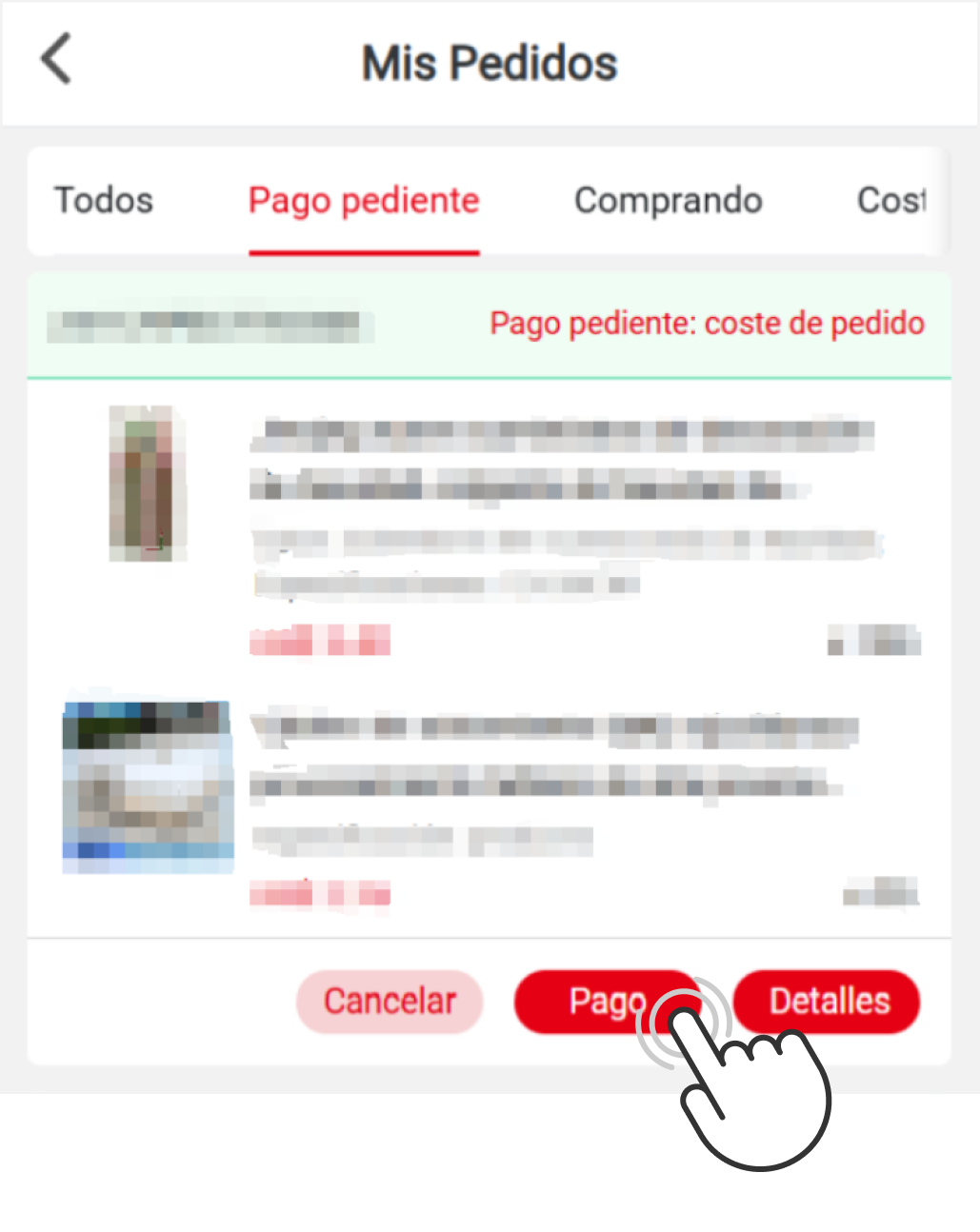 payOrder